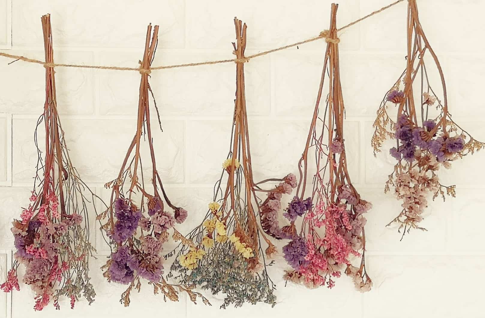 Dried Flowers hanging upside down