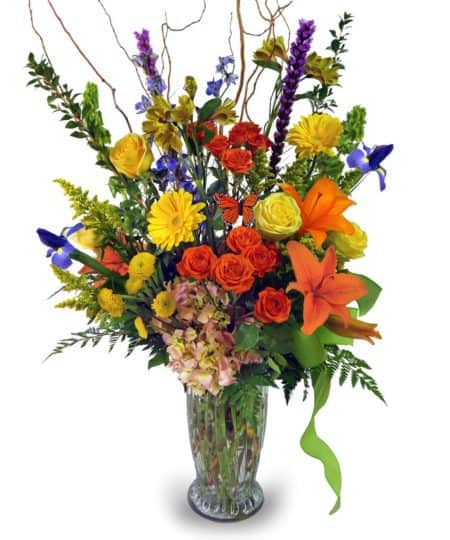 This ample arrangement is like sending a luscious spring garden in a vase! Full of orchids, star gazers, iris, snap dragons, roses, and much more with a complimentary bow and butterfly. You can almost feel the sun shining over it!