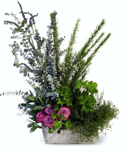 Sweet Summer "Thyme"! This arrangement carries a sweet and calming smell of mixed herbs, roses, lavender, and eucalyptus. This basket is the perfect "relaxation" gift for someone!