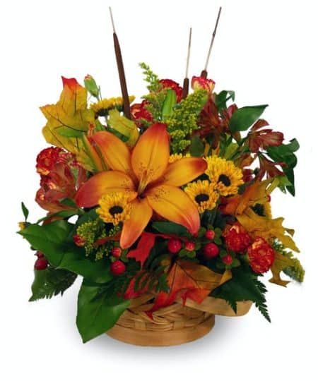 Catch all the fall feelings with this autumn-inspired centerpiece designed in a nice wicker basket with bountiful blooms and accents of cattails and leaves.