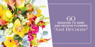 Elegant-60Reasons-blog